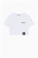 PEPE T-shirt manica corta 7M0908 J061